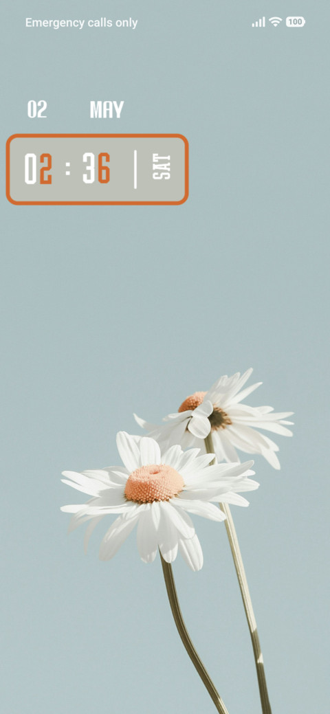 Flower Beauty preview