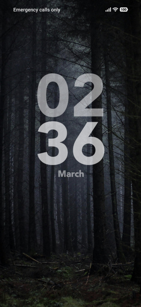 Misty Wood preview