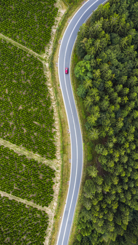 How to maintain a car without driving for a long time 6 preview