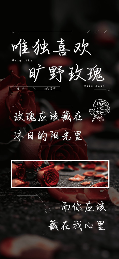 唯独喜欢旷野玫瑰 preview
