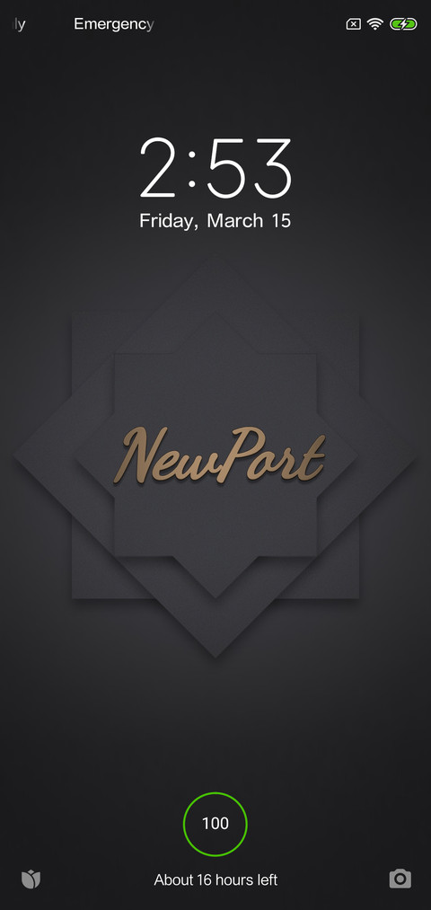 NP style v10 preview