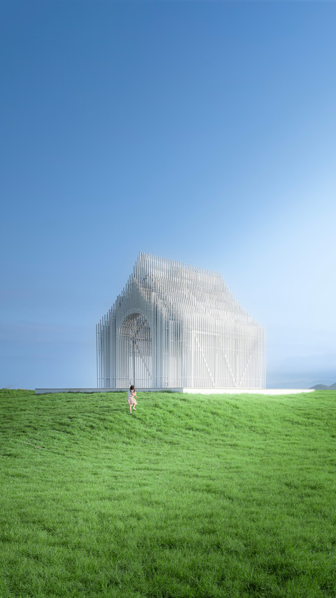 Flowers and plants capture a sense of vastness in photos preview