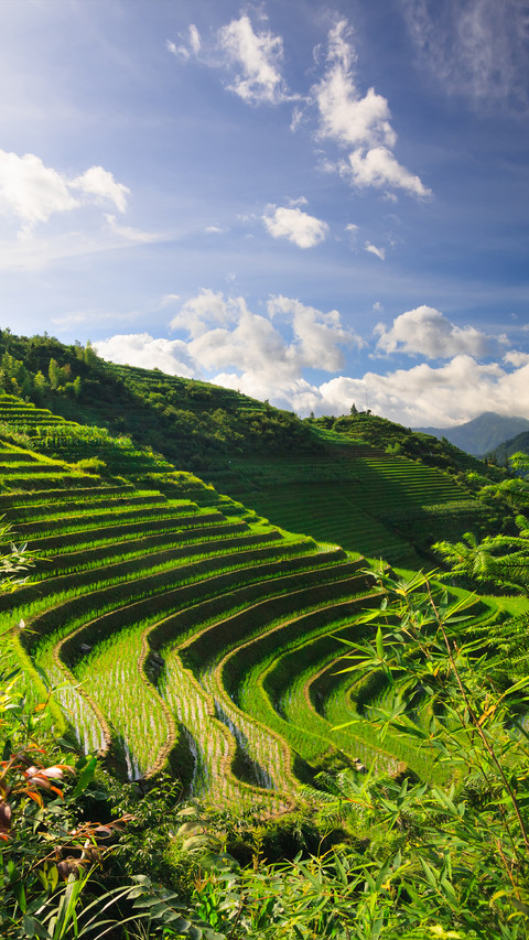Terraces in Yunnan preview