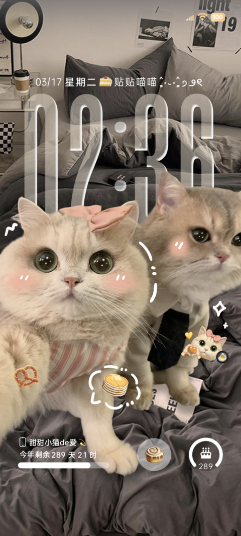 INS景深小猫贴贴 preview