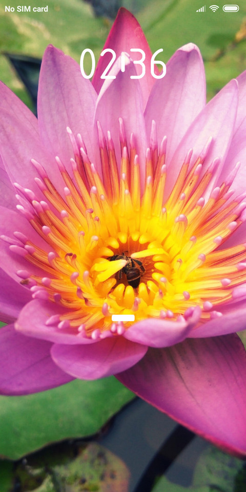 Lotus_DWM2 preview