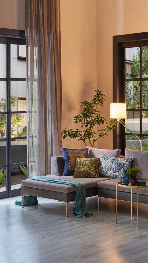 Room Interior Sofa and Metal Lamp, Vase of Plant and Garden preview