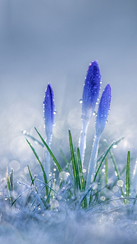 Cold dew turns white and doesnt feel cool 71 preview