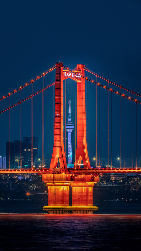 City light show in wuhan preview