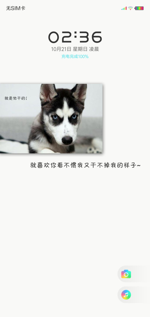 哈小贱 preview