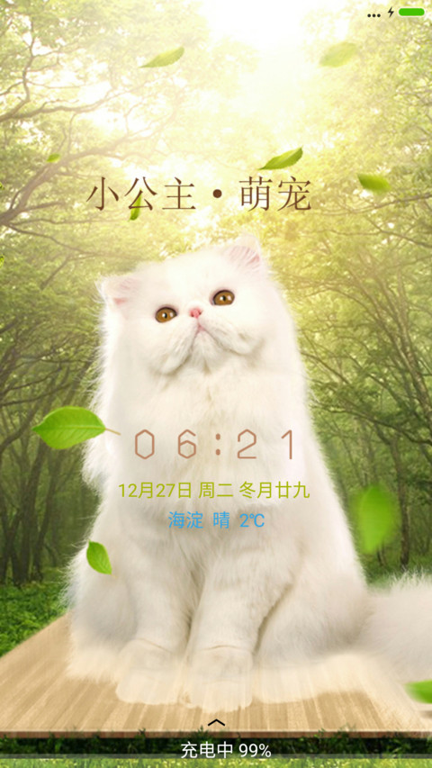萌萌猫 preview