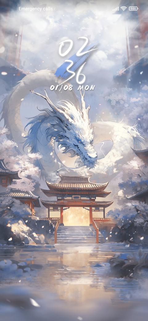 Dragon Snow Realm preview