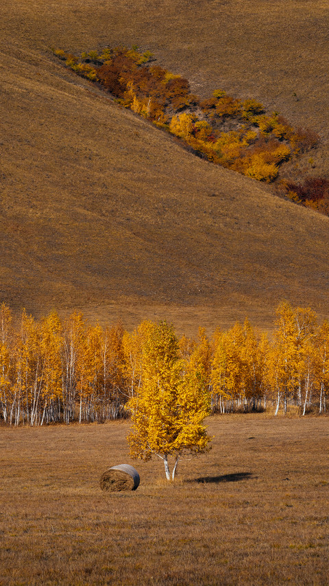 Encounter the golden autumn of the grassland 2 preview