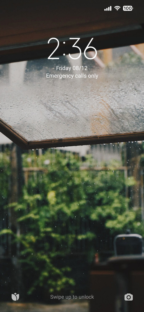 In the Rain preview