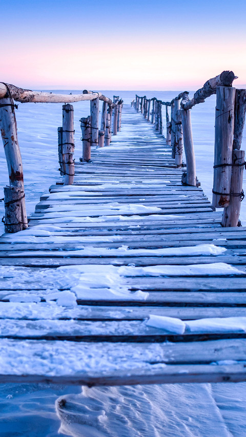 The frozen plank bridge preview