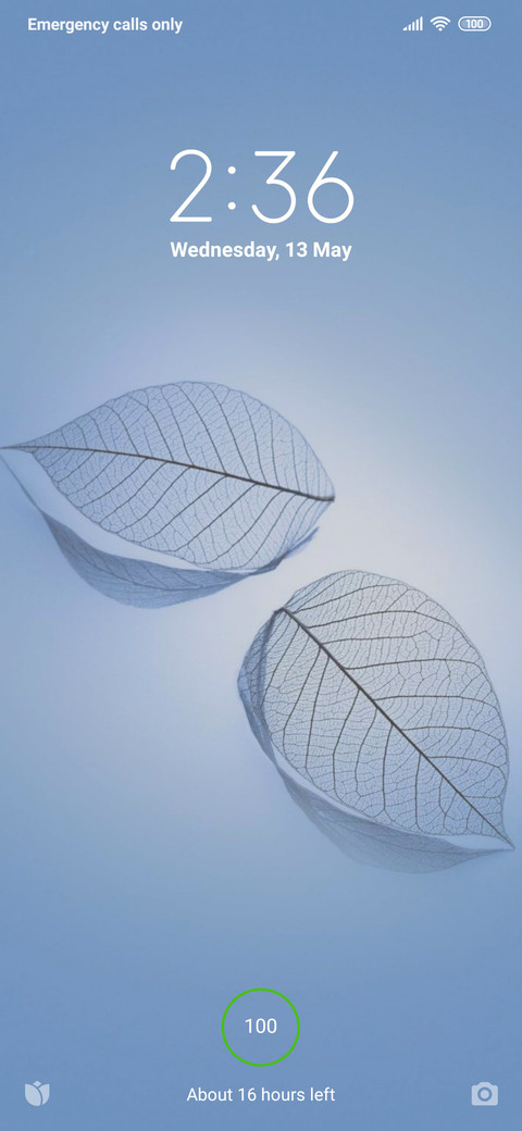 Leaf White_V10 preview