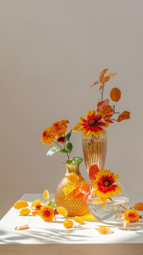 Fresh flowers, a daily dose of happiness preview