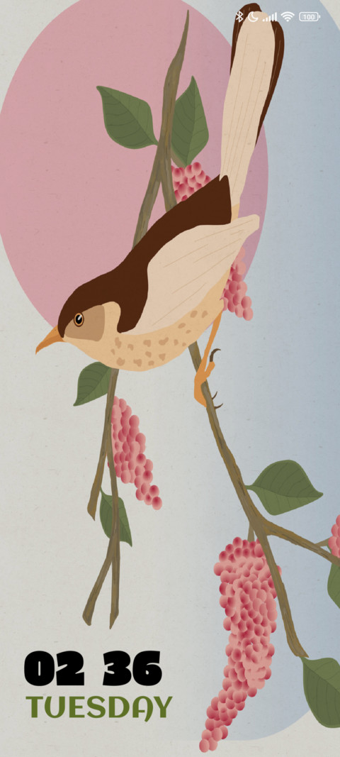 Blackbird Sketch preview