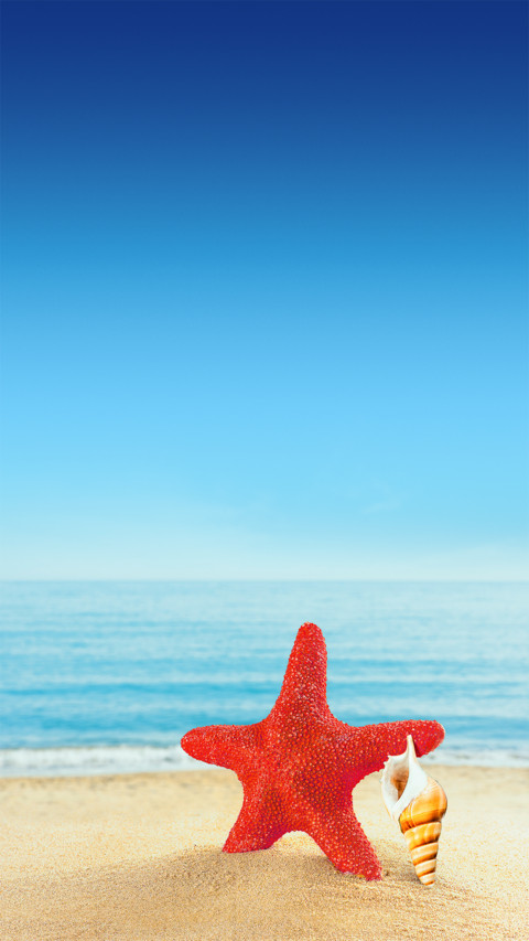 lenovo Vibe X2_wallpaper_08 preview