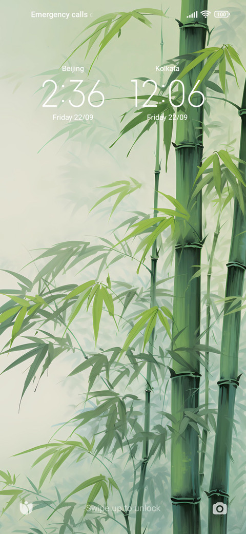bamboo preview