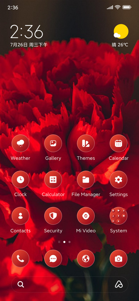 Carnations preview