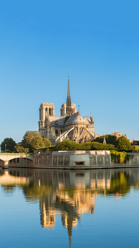 Hidden details of notre dame cathedral in paris preview