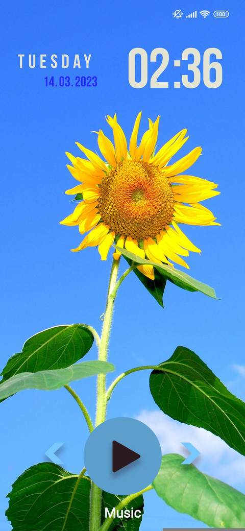 sunflower cloud preview