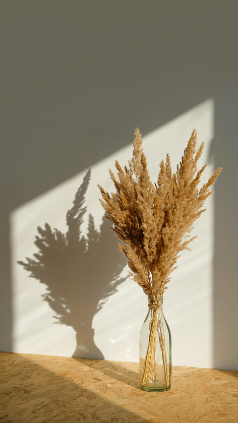 Still life of a bouquet of dried flowers in a glass bottle preview