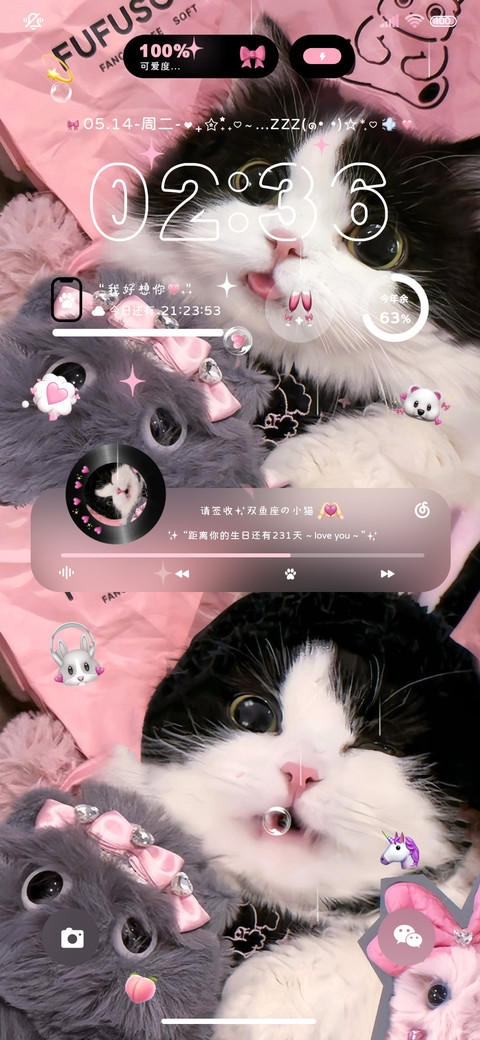 双模式换图小猫日记 preview