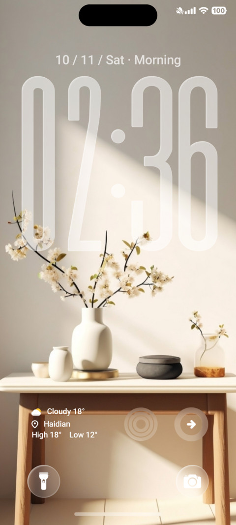 OX MU1 MIUI Customization