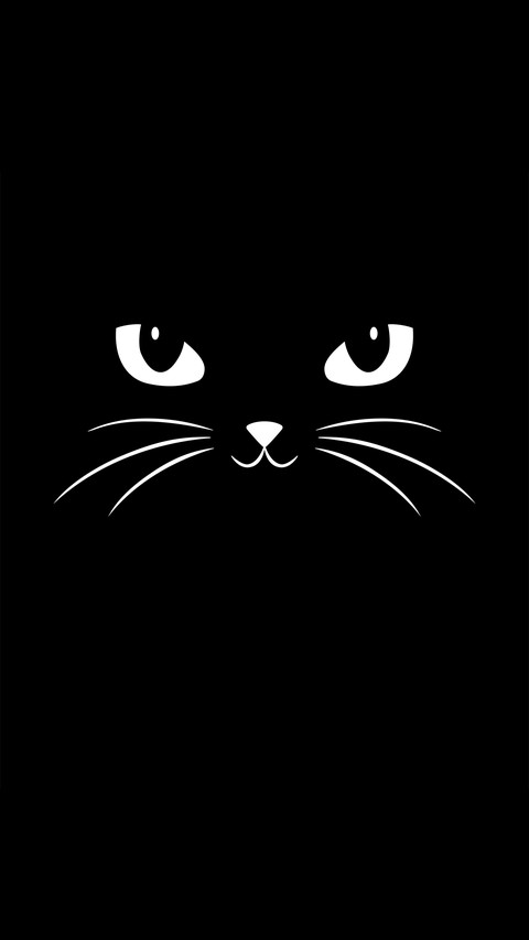 黑猫先生-拍信图库 preview