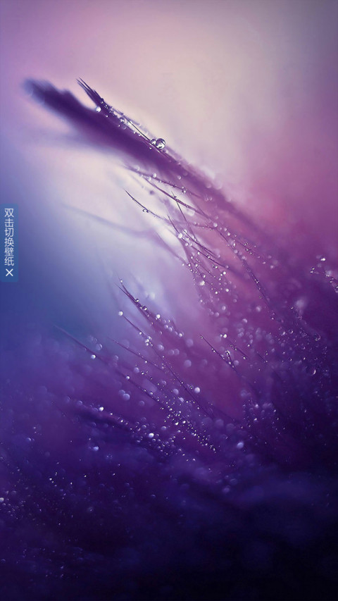Win10 紫 preview