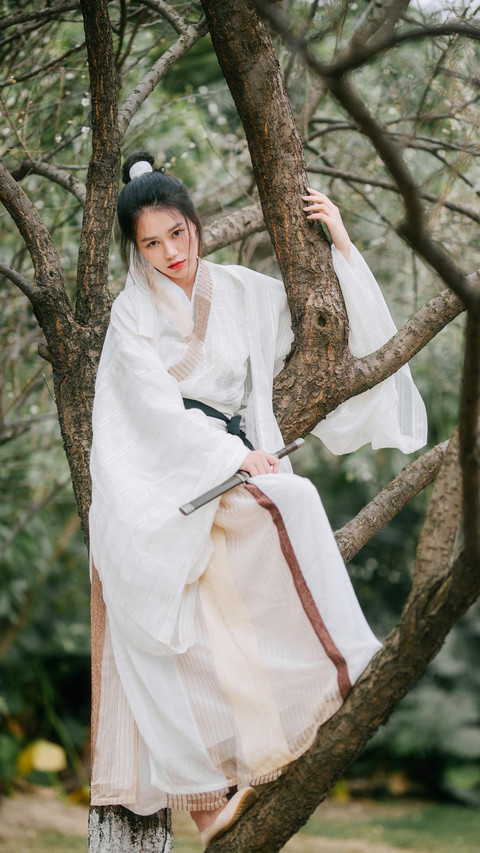 中国汉服文化 preview