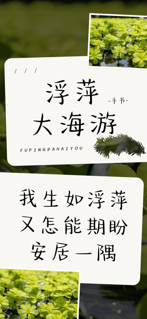 浮萍大海游 preview