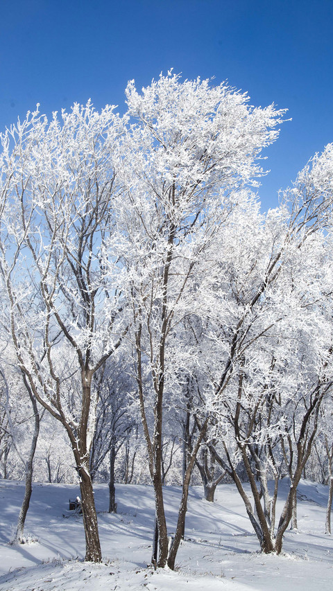 小雪 preview