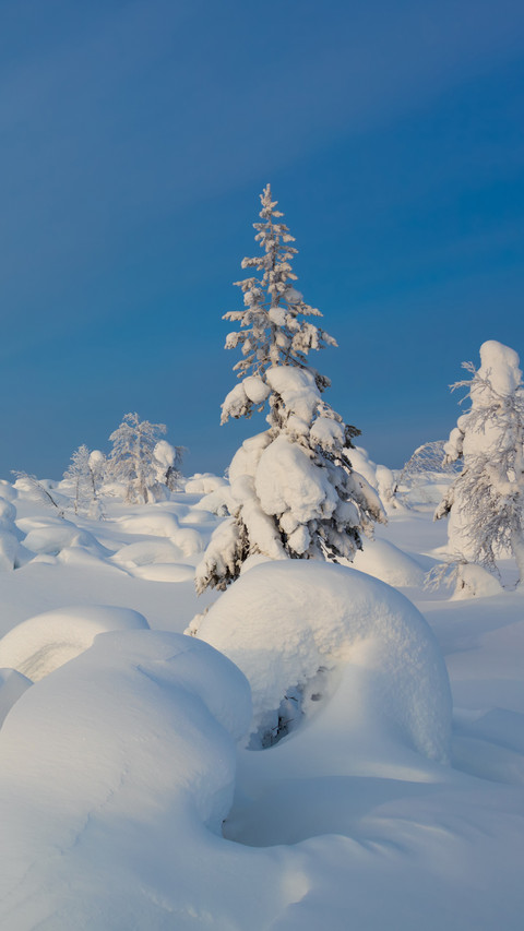 Polar scenery preview