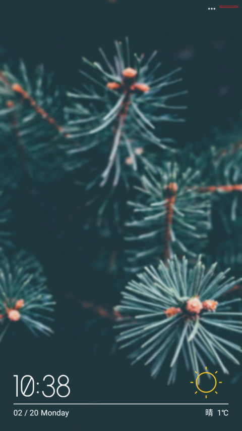 PINETREES preview