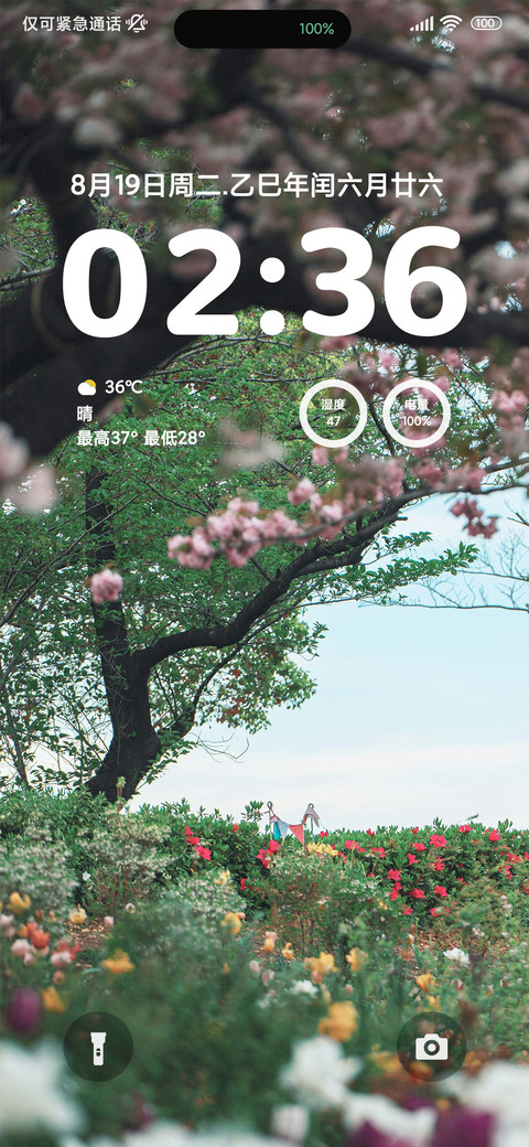 ins清新森系 preview