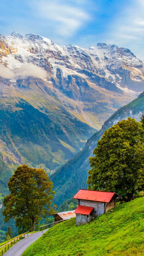 Summer in the Alps preview