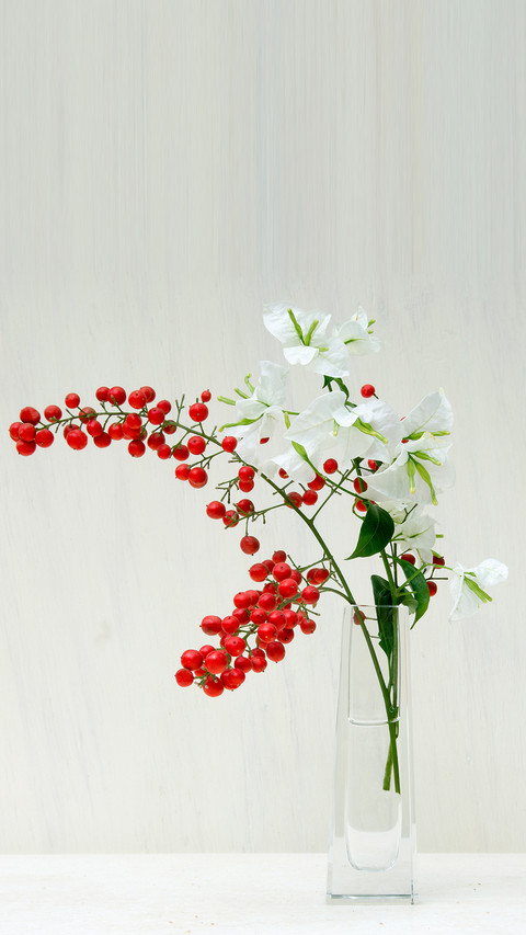 瓶花艺术 preview