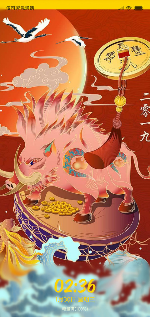 2019猪年大吉 preview