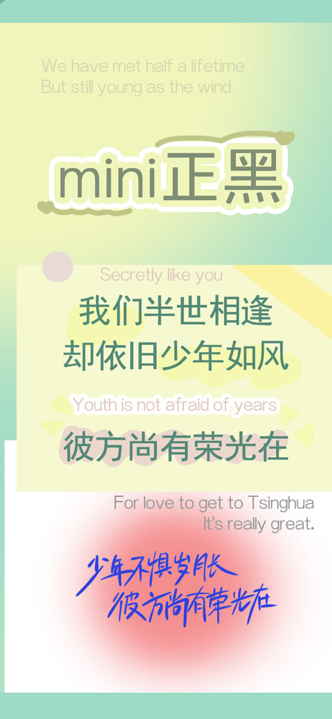 mini正黑 preview