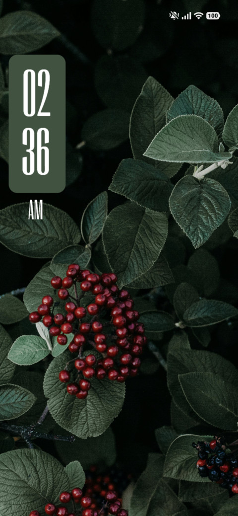 Green Leafed preview