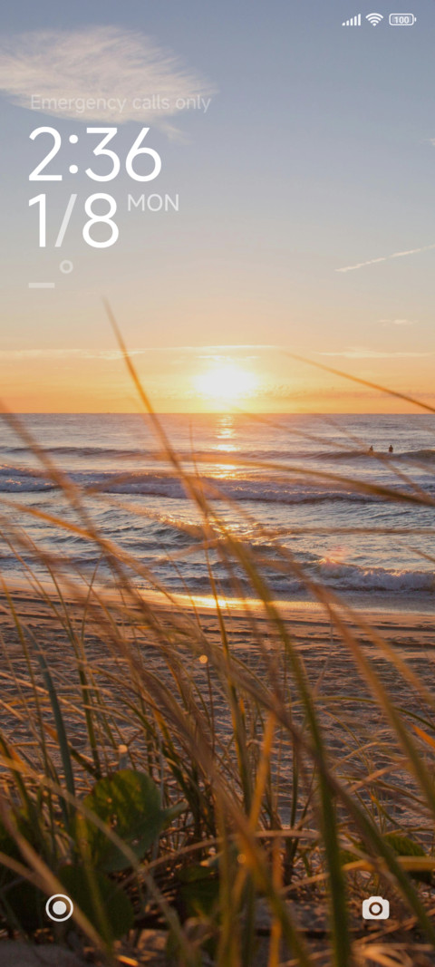 Beach Sunsets preview