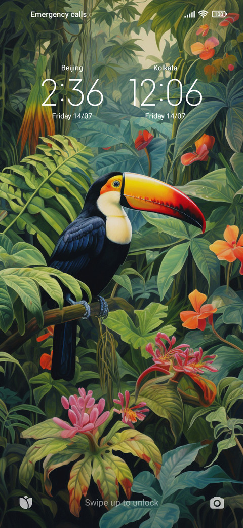 rainforest toucan preview