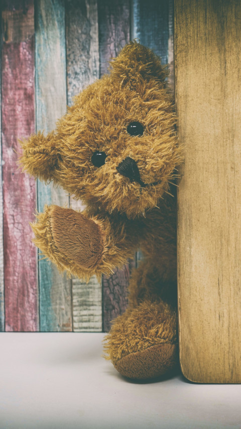 Teddy Day preview
