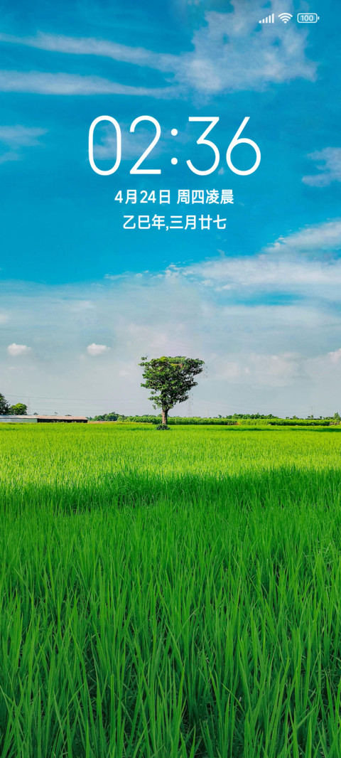 简约清新绿 preview