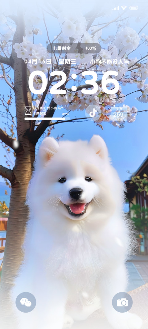 樱花可爱小狗 preview