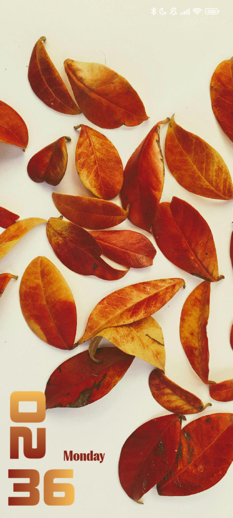Brown Leaves preview