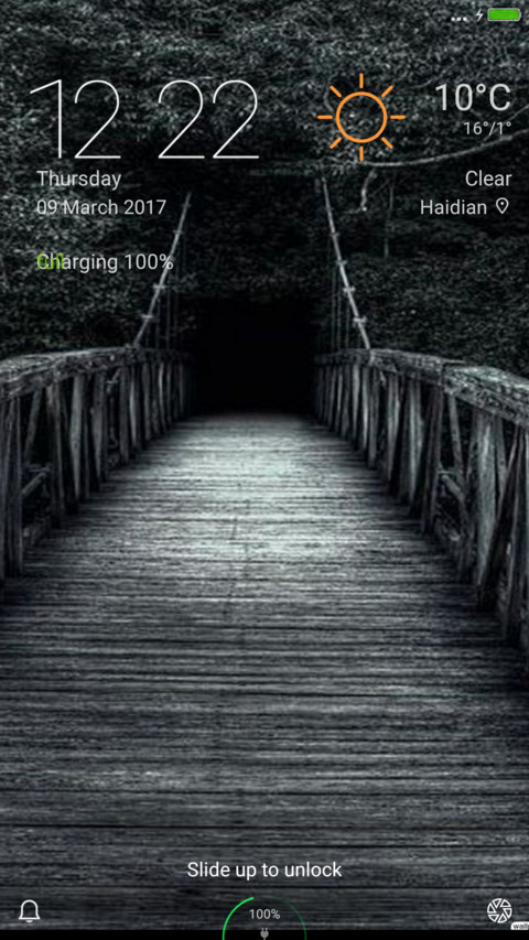 The Bridge preview