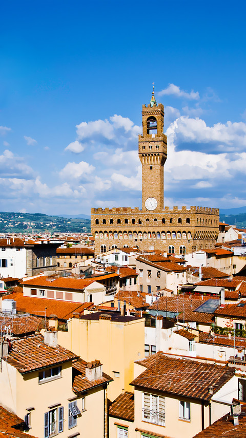 Palazzo vecchio florence italy preview